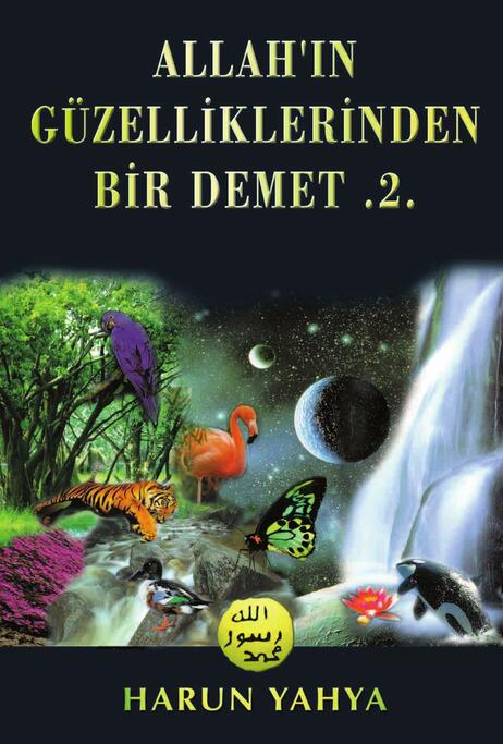 Allahın Güzelliklerinden Bir Demet - 2